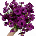 Bouquet of purple flowers held by a hand on a white background