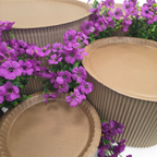 Grazing table kit with purple flower decorations