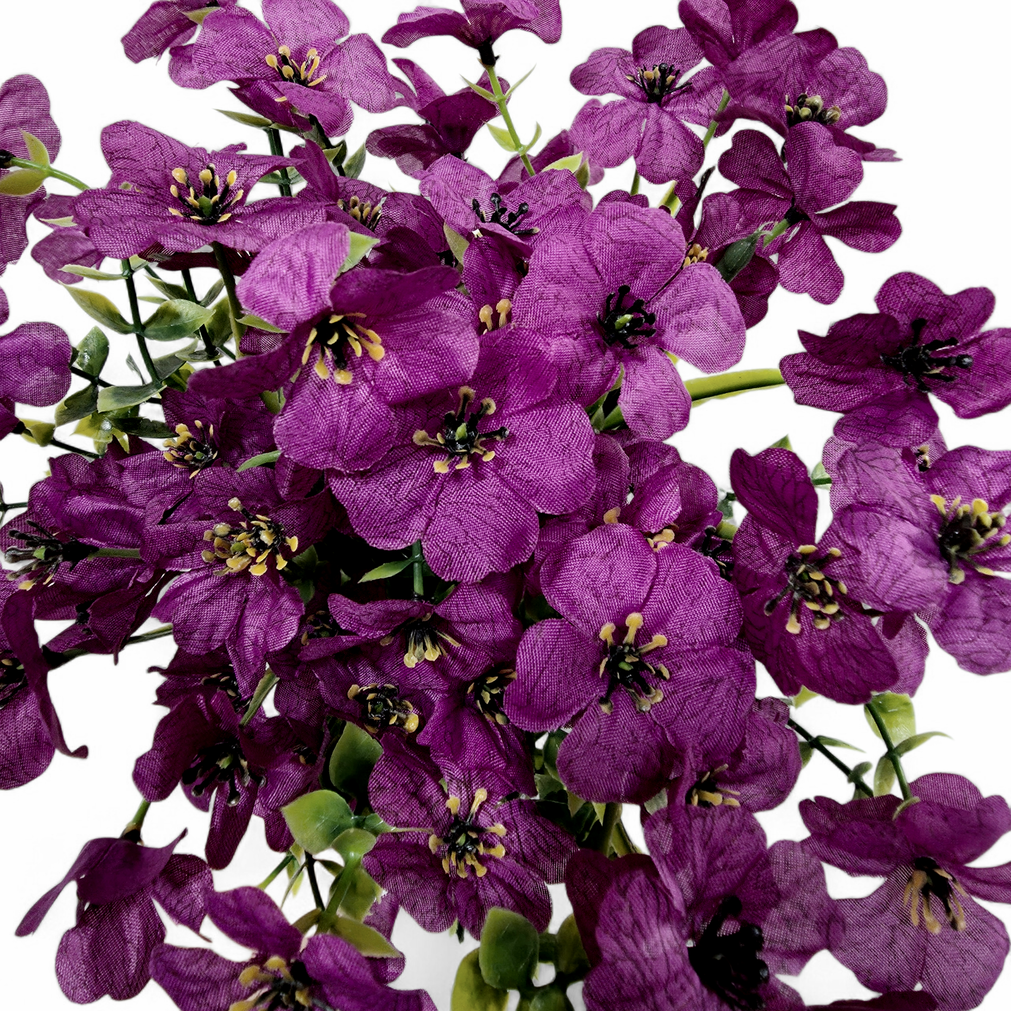 Close-up of purple flowers with green stems on a white background