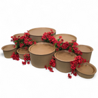 Grazing table kit with red flower decorations