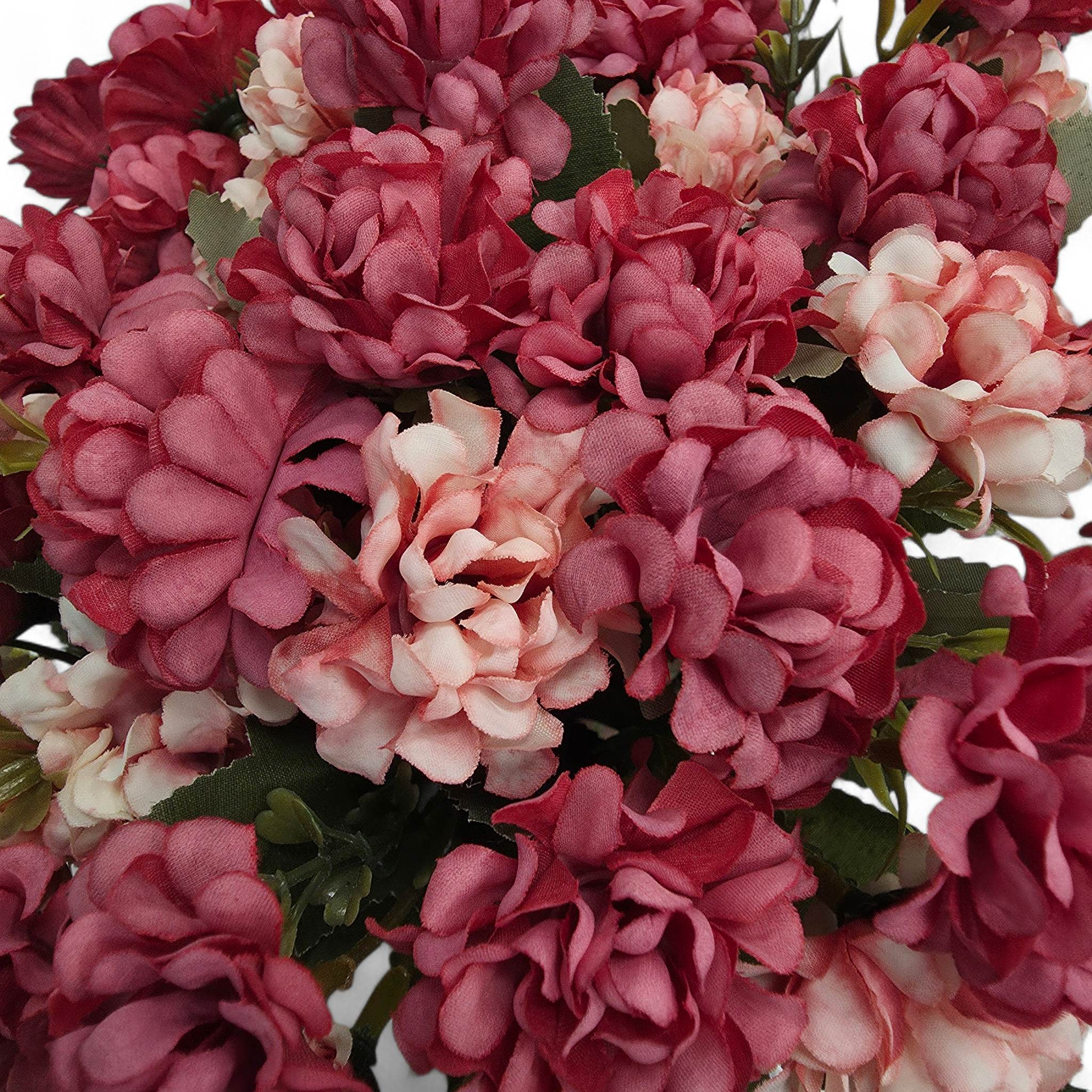 Close-up of pink and red flowers with green leaves