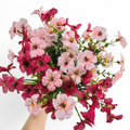 Bouquet of pink and cerise flowers held by a hand on a white background