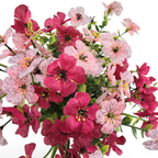 Bouquet of pink and cerise flowers with green leaves on a white background