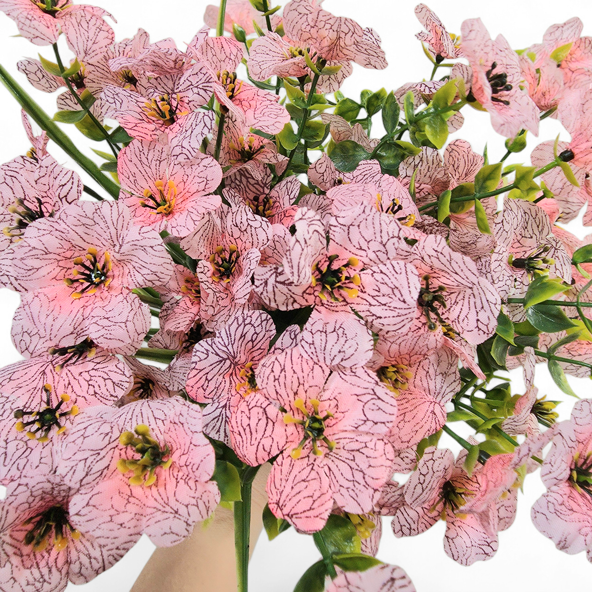 Bouquet of light pink flowers with green stems on a white background