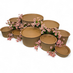 Grazing table kit with pink flower