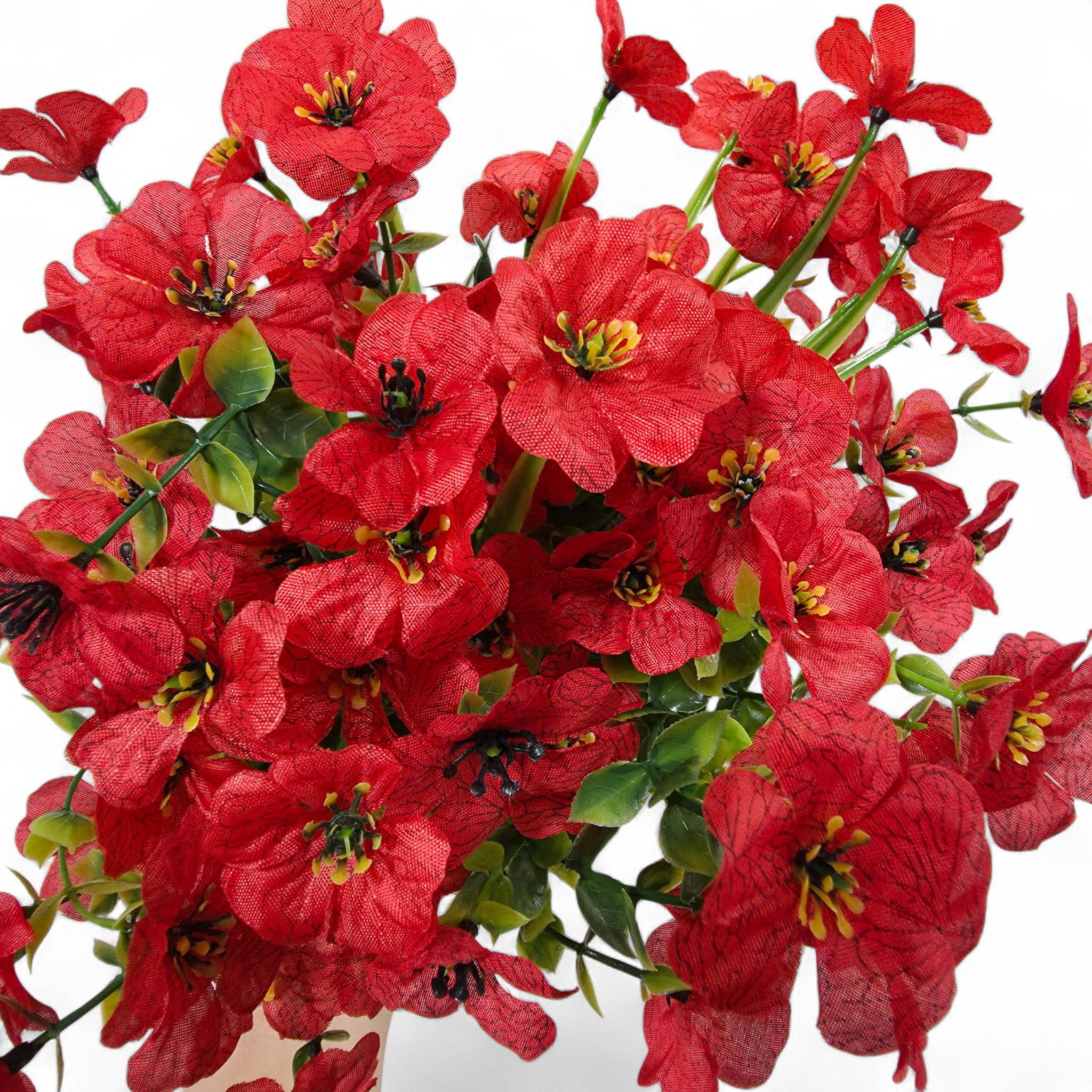 Bouquet of red flowers with green stems on a white background