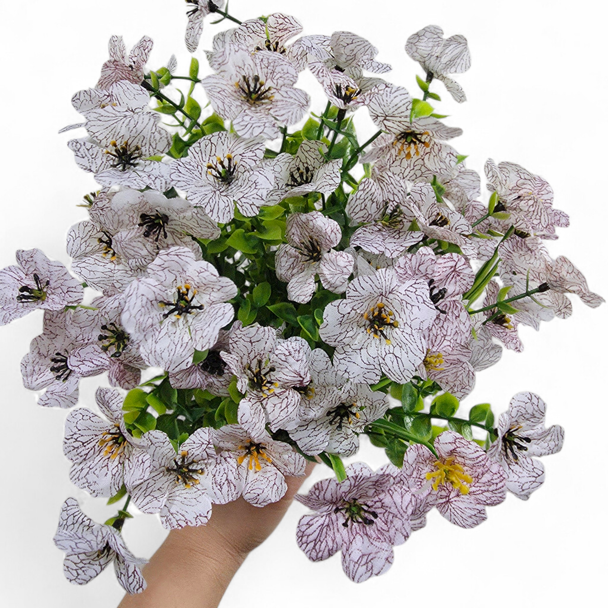 Bouquet of white flowers with green stems held by a hand against a white background