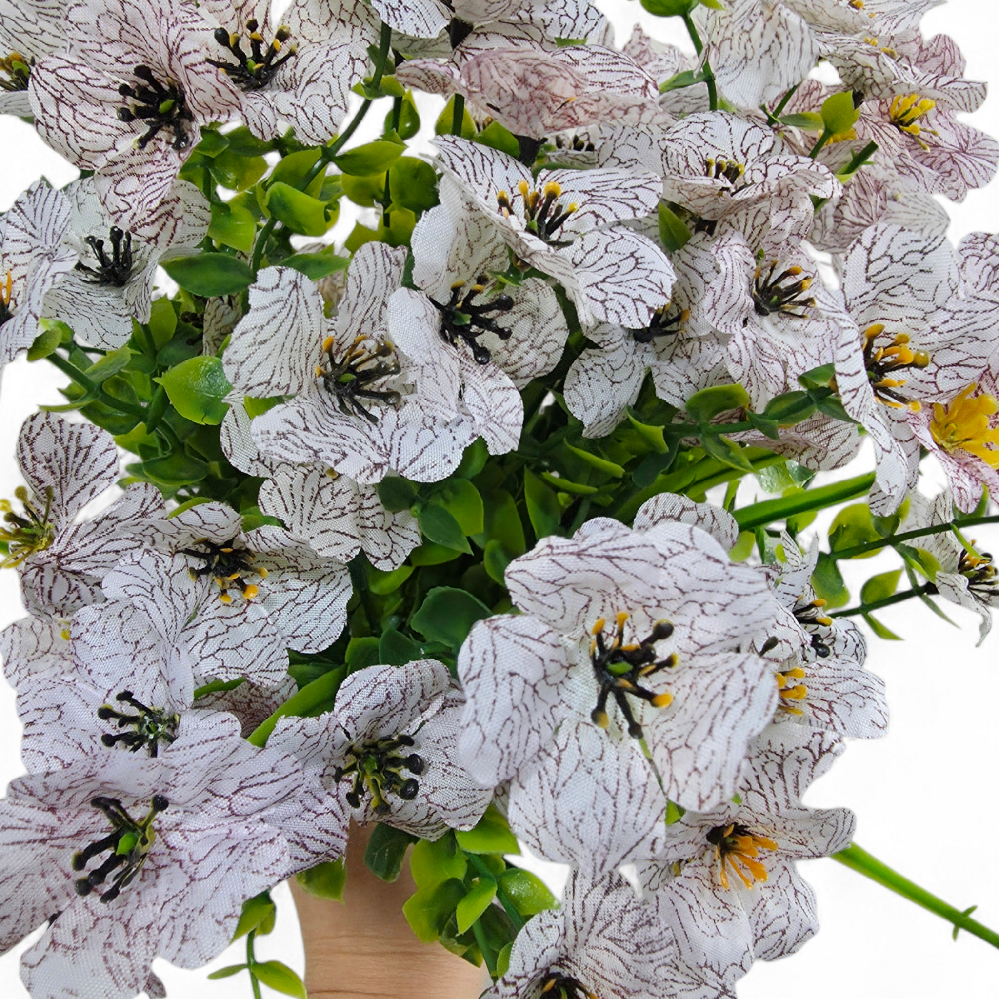 Bouquet of white flowers with green leaves held by a hand on a white background