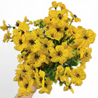 Bouquet of yellow flowers held by a hand on a white background