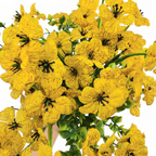 Bouquet of yellow flowers with green leaves on a white background