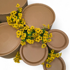Grazing table kit with yellow flowers