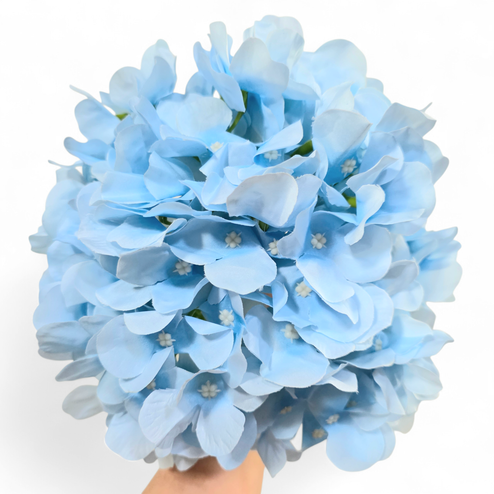 Bouquet of light blue flowers held by a hand against a white background