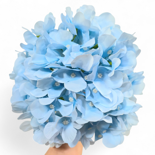 Bouquet of light blue flowers held by a hand against a white background
