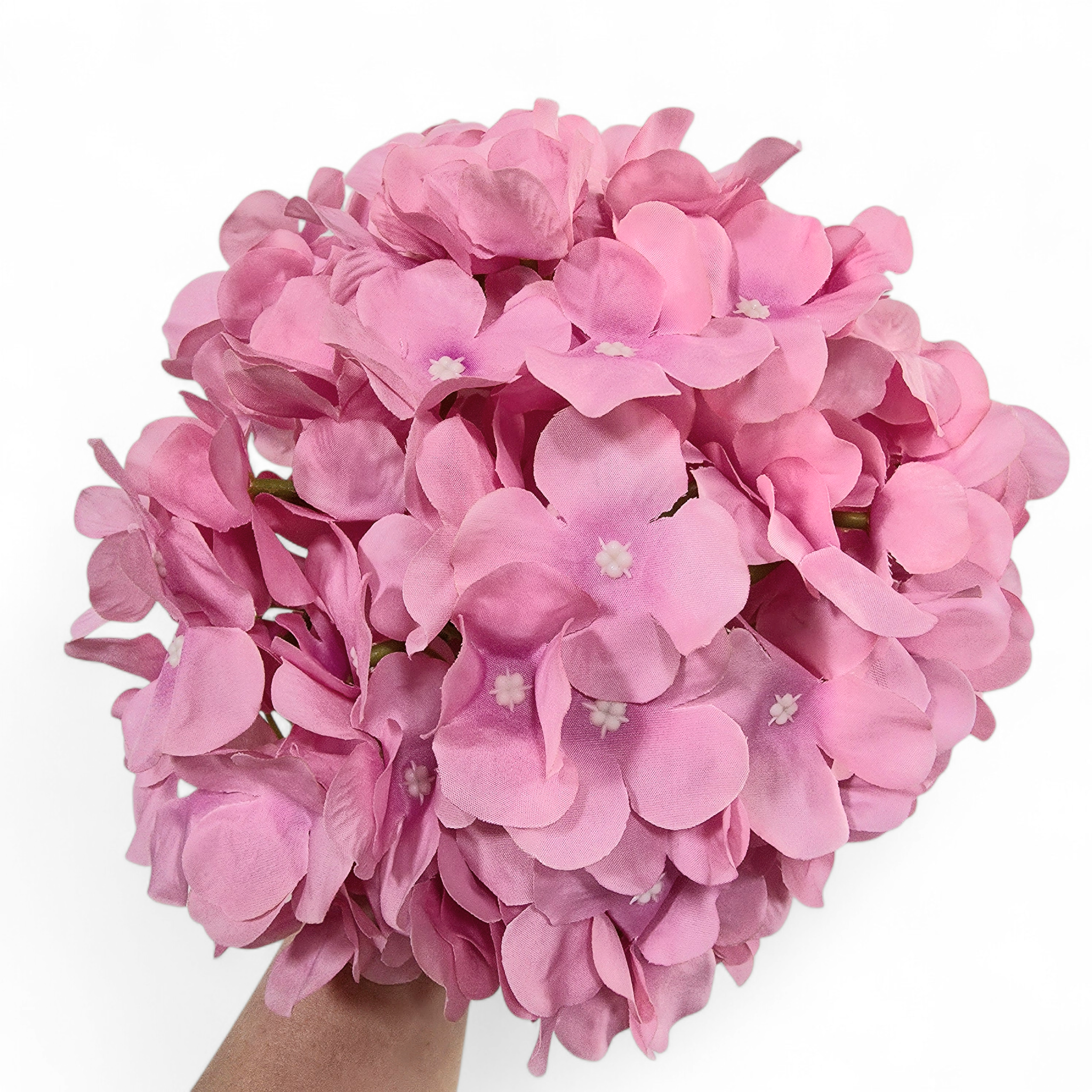 Bouquet of pink flowers held by a hand on a white background