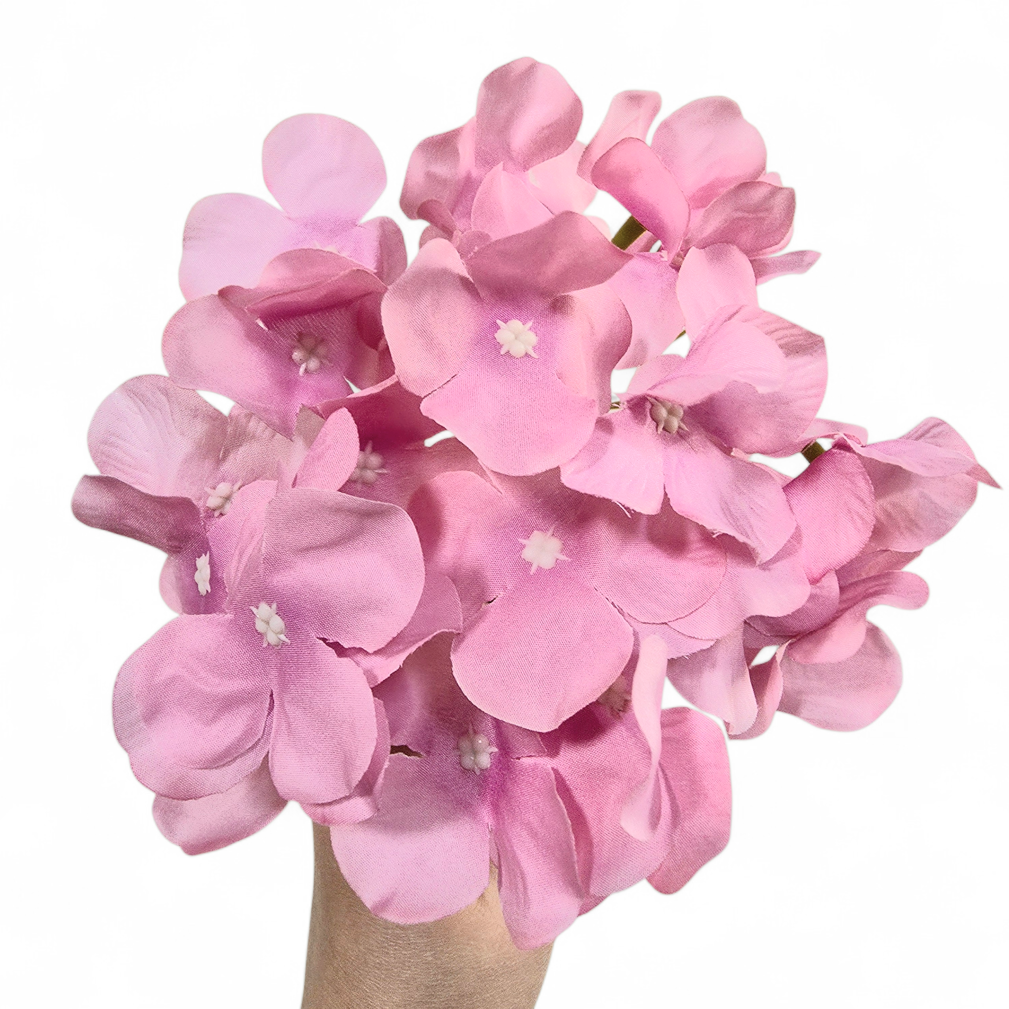Bouquet of pink flowers with a white background