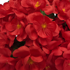 Close-up of bright red flowers with yellow centers.