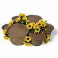 a grazing table kit with yellow sunflower decorations